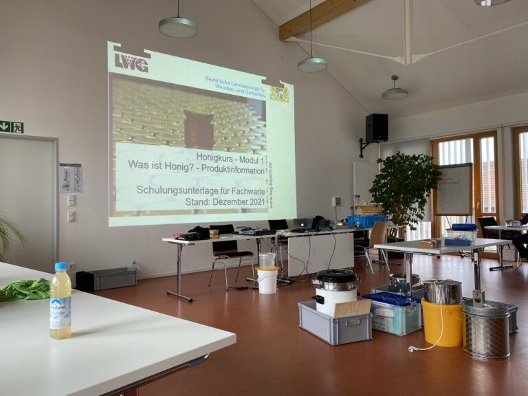 Honigkurs